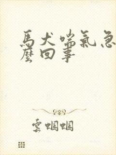 马犬喘气急促怎么回事