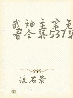 武神主宰免费观看全集537集