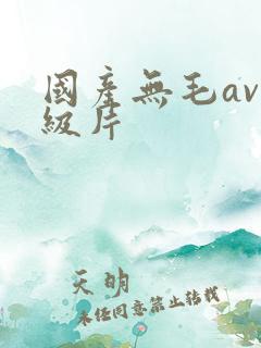 国产无毛av一级片