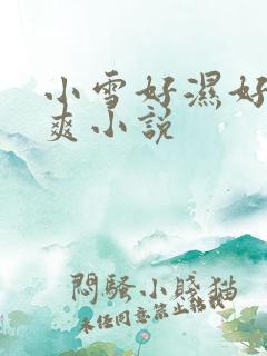 小雪好湿好紧太爽小说