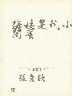 梅姨是我小妈的闺蜜