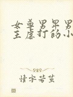 女尊男卑男被女主虐打的小说