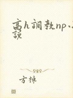 高h调教np小说