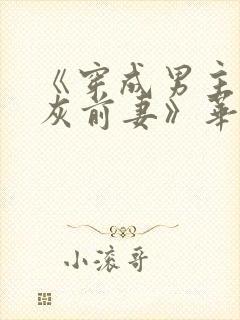 《穿成男主的炮灰前妻》华阙阙