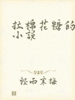 拉棉花糖的兔子小说