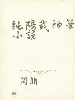 纯阳武神笔趣阁小说