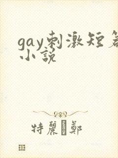 gay刺激短篇小说