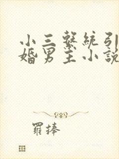 小三系统引诱已婚男主小说