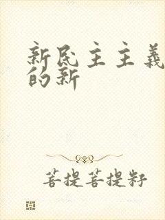 新民主主义革命的新