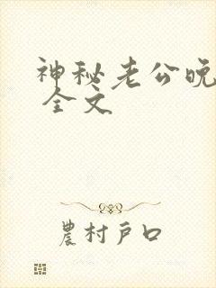 神秘老公晚上见 全文