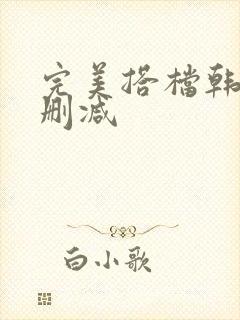 完美搭档韩剧未删减