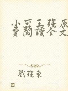 小可王强原文免费阅读全文