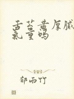 舌苔黄厚腻是湿气重吗