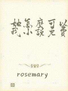 她怎么可以不爱我小说免费阅读