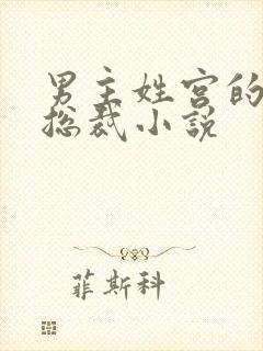 男主姓宫的现代总裁小说