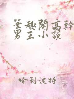 笔趣阁高干文双男主小说