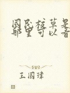 国民校草是女生那里可以看