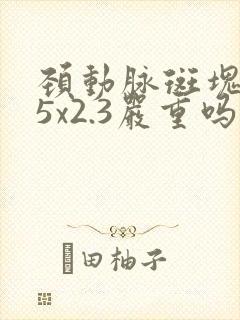 颈动脉斑块6.5x2.3严重吗