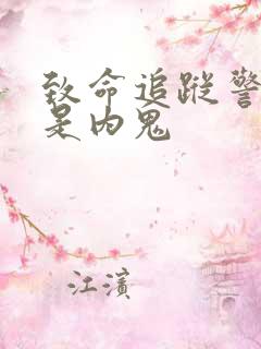 致命追踪警察谁是内鬼