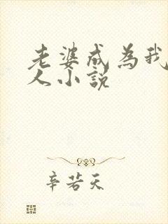 老婆成为我的主人小说