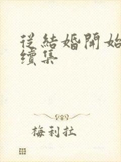 从结婚开始恋爱续集