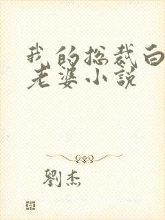 我的总裁白富美老婆小说