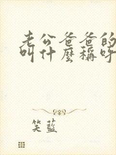 老公爸爸的哥哥叫什么称呼