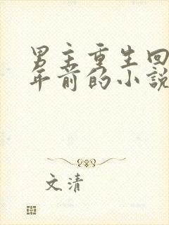 男主重生回到十年前的小说