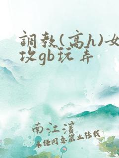 调教(高h)女攻gb玩弄