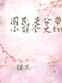 国民老公带回家小说全文txt