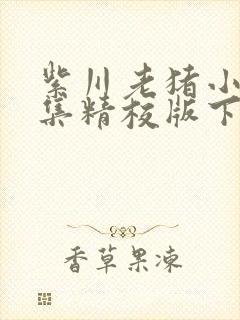 紫川老猪小说全集精校版下载