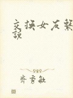 交换女友系列小说