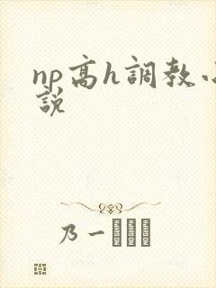 np高h调教小说