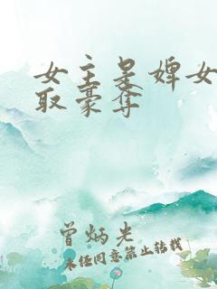 女主是婢女的强取豪夺