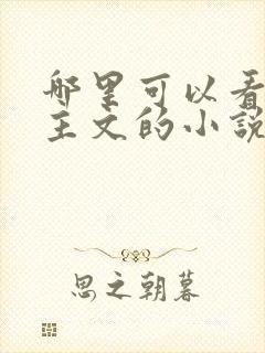 哪里可以看双男主文的小说