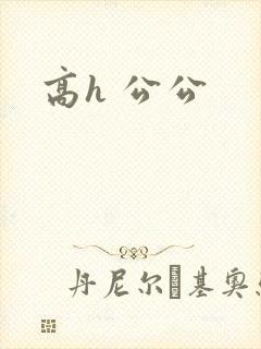 高h 公公