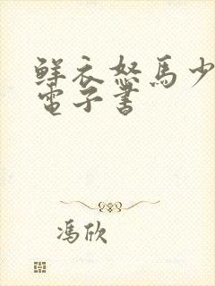 鲜衣怒马少年时电子书