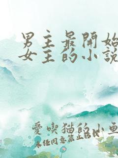 男主最开始讨厌女主的小说