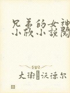 兄弟的女神女友小欣小说阅读