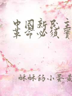 中国新民主主义革命必须实现的首要任务是