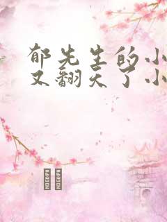 郁先生的小娇妻又翻天了小说免费阅读