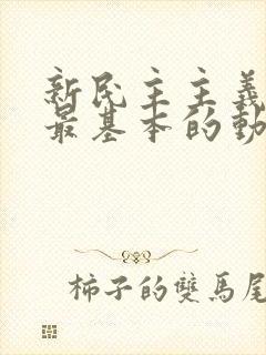 新民主主义革命最基本的动力