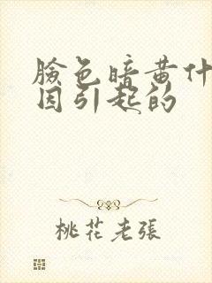 脸色暗黄什么原因引起的