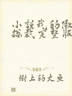 小说我的傲娇女总裁完整版未删减小说