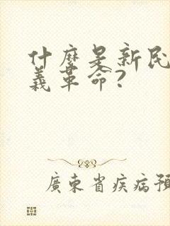 什么是新民主主义革命?