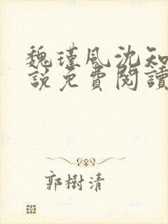 魏瑾风沈知玉小说免费阅读最新章节