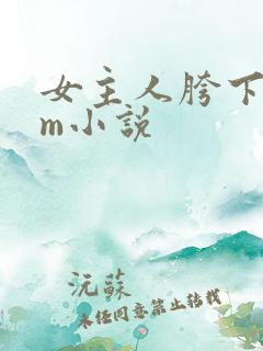 女主人胯下的女m小说