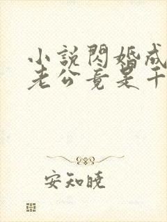 小说闪婚成宠,老公竟是千亿大佬