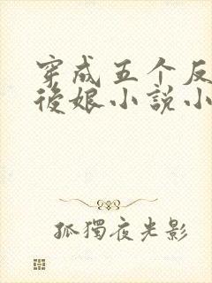 穿成五个反派的后娘小说小说