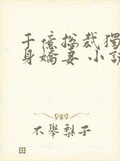 千亿总裁独宠替身娇妻 小说完整